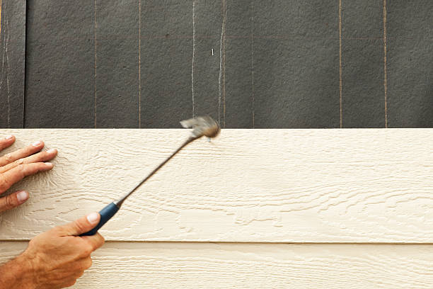 Affordable Siding Repair and Maintenance Services in Georgetown, DE